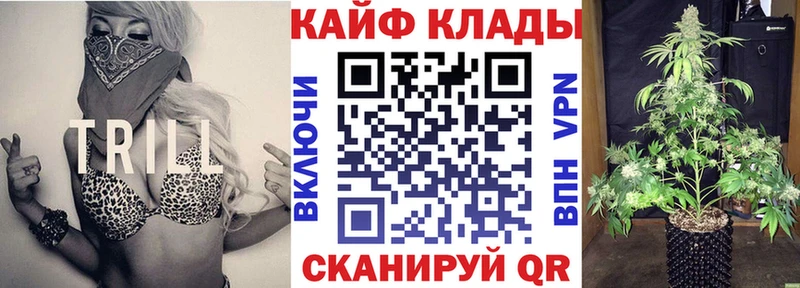 ГАШ Жуковка