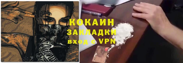 2c-b Горно-Алтайск