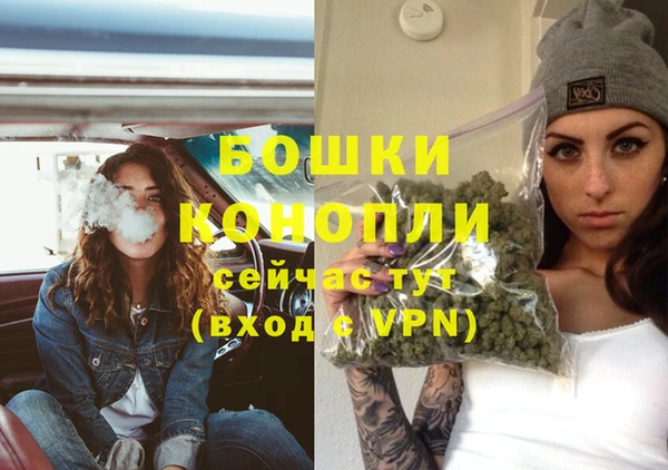эйфоретик Бикин