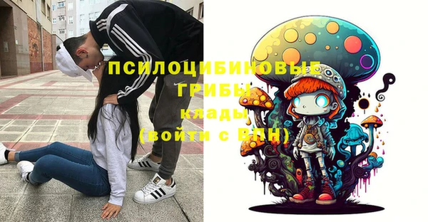 прущий лед Горняк