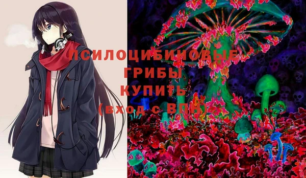 2c-b Горно-Алтайск