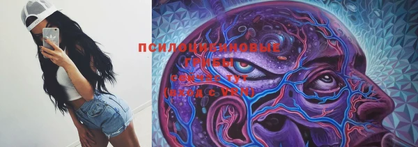 2c-b Горно-Алтайск