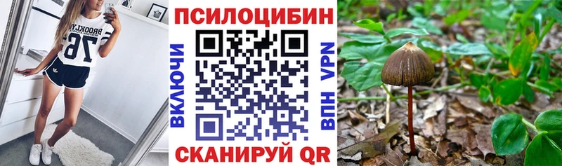 наркотики  Жуковка  Галлюциногенные грибы Psilocybine cubensis 